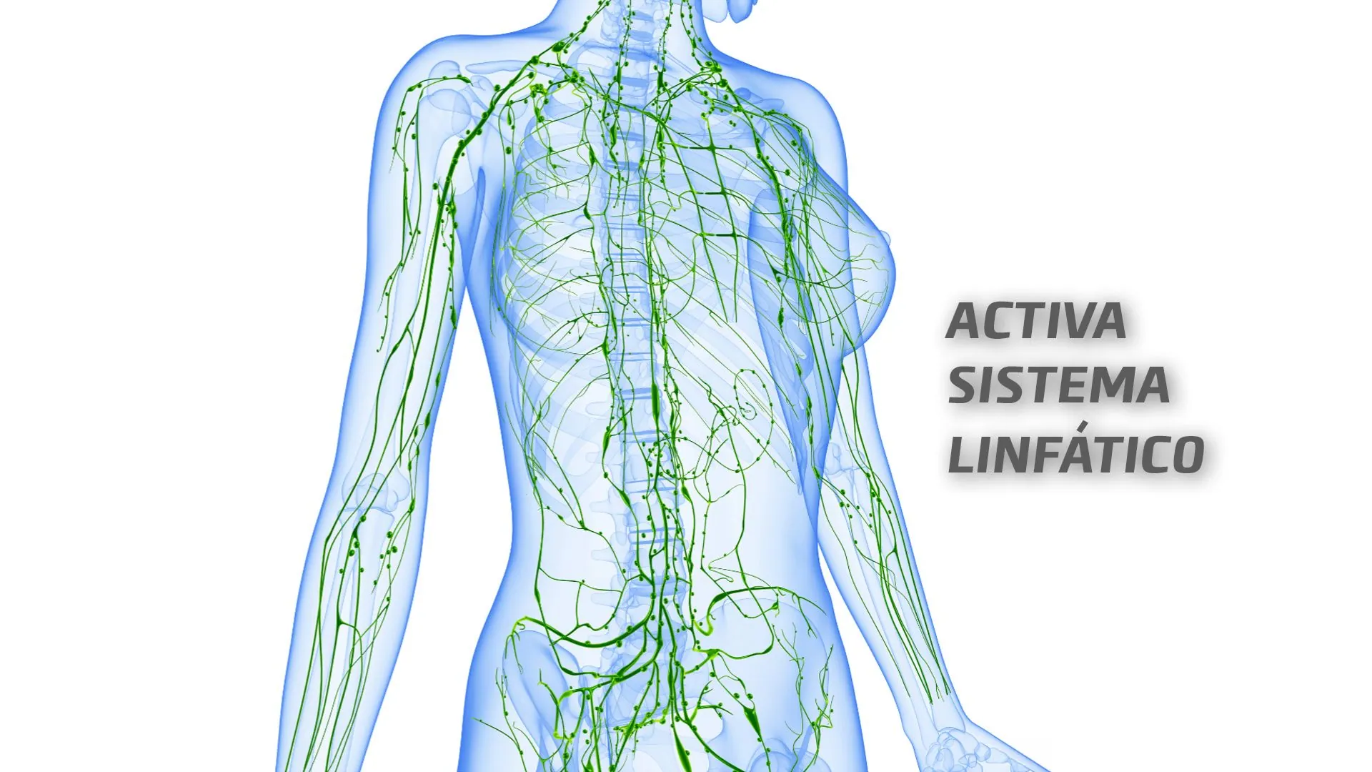 activa-sistema-linfatico-power-plate-peru