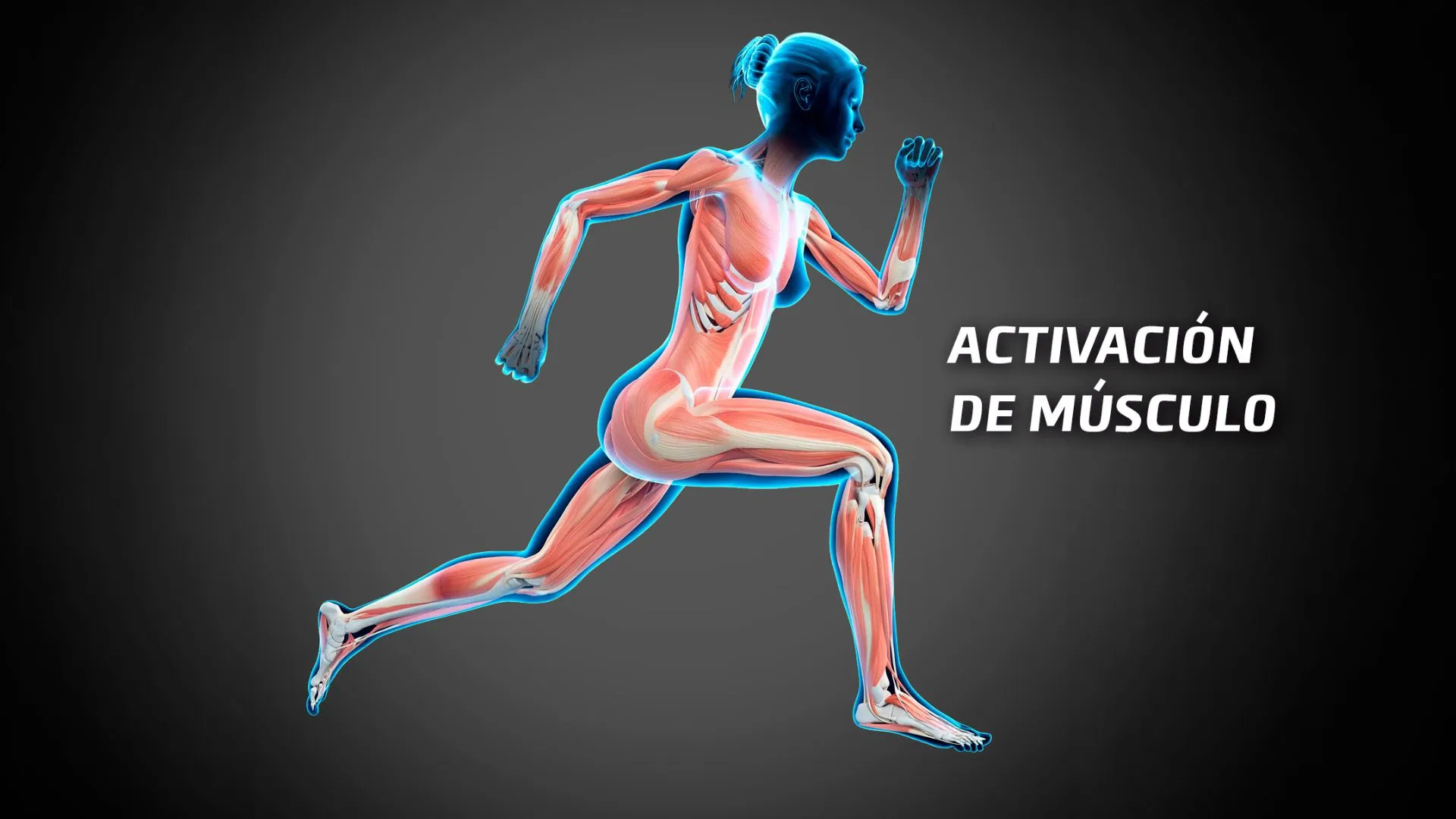 activacion-de-musculo-power-plate-peru
