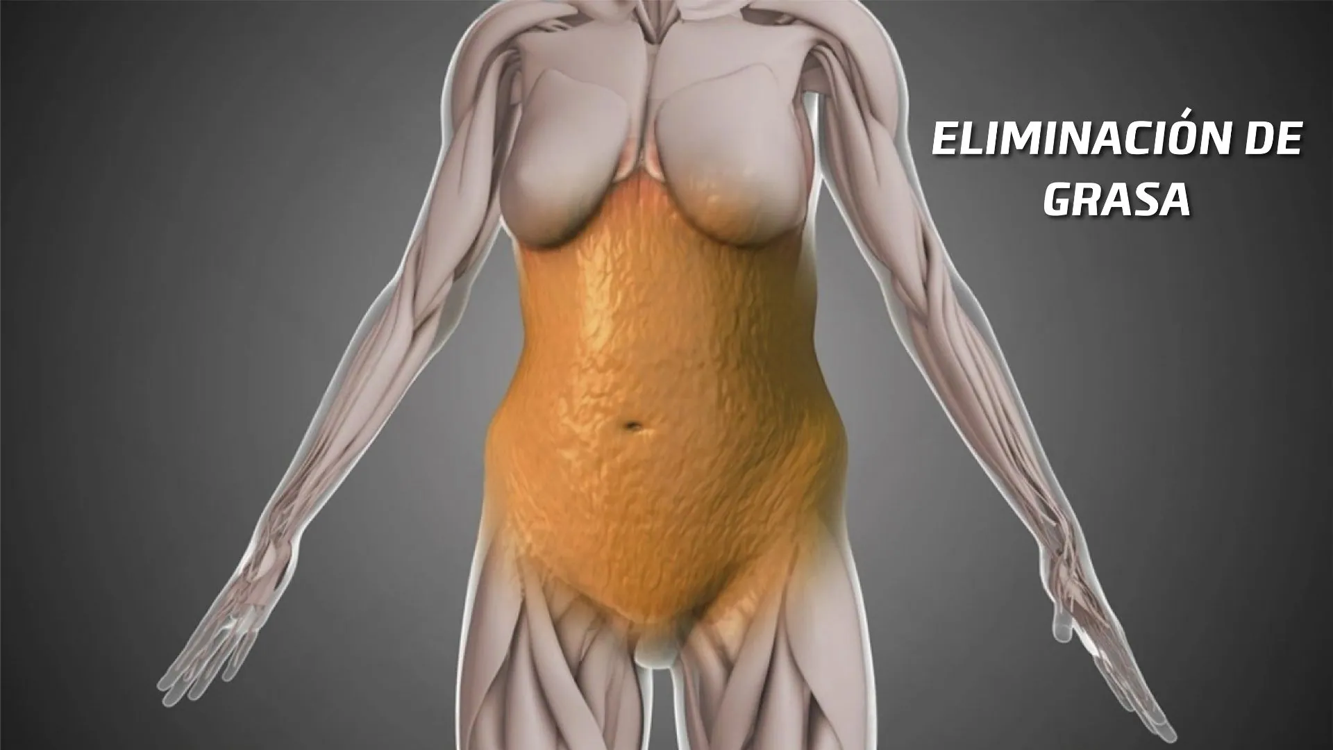 eliminacion-de-grasa-power-plate-peru