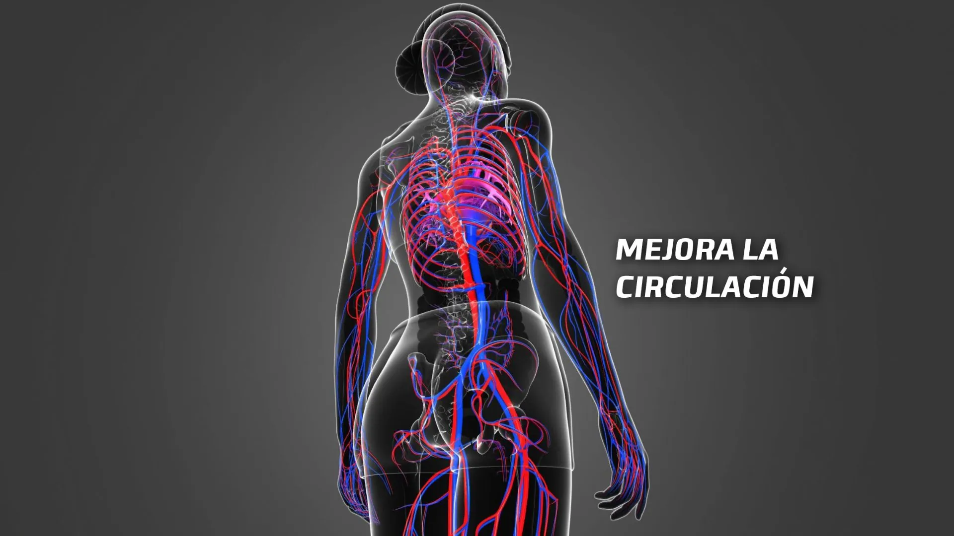 mejora-la-circulacion-power-plate-peru